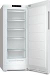 FN 4322 D-1 Gefrierschrank