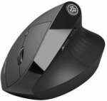 Ergonomic Wireless Maus, Schwarz