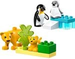 Duplo Wildtier-Familien: Pinguine und L&ouml;wen