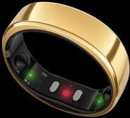 Smart Ring GEN 2, Royal Gold, Gr. 14 Smartring
