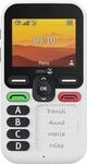 Leva X10 - 4G, wei&szlig; (2025 Modell) Handy