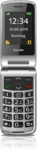 SL495 LTE 4G silber-schwarz (2025) Handy