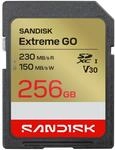 Extreme GO SD UHS-I-Karte - 256 GB Speicherkarte