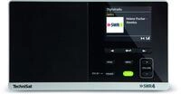 DigitRadio 215 SWR4 Edition schwarz DAB Radio