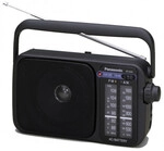 RF-2400DEG-K schwarz Mobiles Radio