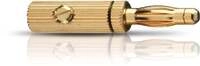 Banana B3 Pin bis 4,0mm&sup2; gold 4St