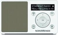 Transita 100 wei&szlig;-perlgold DAB+ Radio