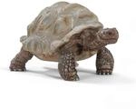 Riesenschildkroete Spielfigur