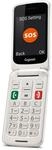 GL590 pearl white Handy
