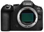 Canon EOS R6 III + 50mm f1,8 STM