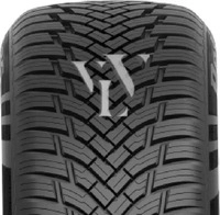 PETLAS MULTI ACTION PT565 205/65R16 95H BSW, Nasshaftung: C