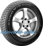 ROADSTONE EURO-WIN 650 225/65R16C 112/110R BSW, Nasshaftung: C