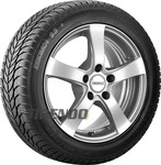 SAVA ESKIMO S3+ 185/65R15 88T, Nasshaftung: C