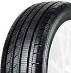 TRACMAX ICE-PLUS S210 205/55R16 94H XL, Nasshaftung: C