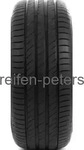 DELINTE DS2 205/60R16 92V BSW, Nasshaftung: B