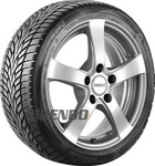 NANKANG WINTER ACTIVA SV-3 275/45R21 110V XL MFS, Nasshaftung: B