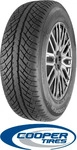 COOPER DISCOVERER WINTER 235/55R17 99H XL, Nasshaftung: B