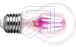 LED Pflanzenlampe Classic A60 4,0W/E27 LM-85320-2