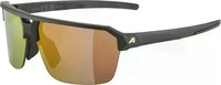 Sonnenbrille Alpina Swift HR Black Gold Matt/Gold Mirror Gr&ouml;&szlig;e : 99