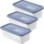 Rotho 3er Set Gefrierdosen 1,2 l DOMINO