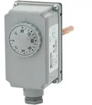 ESBE TIA122 | Tauchthermostat 200 mm | Anschluss G 1&frasl;2''