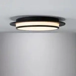 Deckenleuchte Paulmann, Egron, dimmbar, Schwarz, f&uuml;r Wohnzimmer, Metall, Modern -