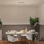Pendelleuchte Paulmann, Lento, dimmbar, Grau, f&uuml;r Wohnzimmer, Metall, Modern - 100 -