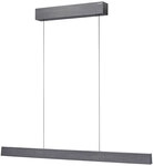 Paul Neuhaus Pure E-Motion 2570 LED-Pendelleuchte-Platin