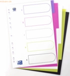 20 x Oxford Register myColour A4 PP 300 my 5 Blatt sortierte Packung