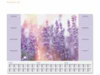 5 x Sigel Schreibunterlage Fragrant Lavender 3-Jahres-Kalendarium 595x
