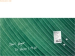 Sigel Glas-Magnettafel Artverum 91x46cm Palm Leaf matt