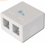 Assmann DIGITUS Konsolidierungspunkt -Box f&uuml;r 2x Keystone Module, wei&szlig;