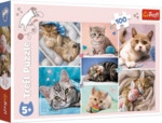 Trefl Puzzle Katzenwelt - 100 Teile.