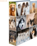 HERMA Motivordner A4 70mm Hunde