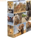 HERMA Motivordner A4 70mm Afrika Tiere HERMA Motivordner A4 70mm Afrika Tiere