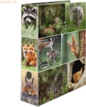 HERMA Motivordner A4 Animals Waldtiere