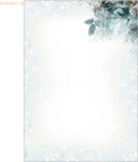 Sigel Weihnachtspapier A4 90g 100 Blatt Eucalyptus magic