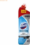 Diversey Domestos WC Reiniger Pro Formula 101108252 1l