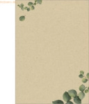 Sigel Motiv-Papier A4 100g Graspapier Eucalyptus 100 Blatt
