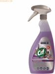 Diversey CIF Desinfektionsreiniger Pro Formula SafeGuard 101107796 750