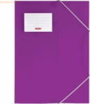 10 x Brunnen Sammelmappe Fact! A4 PP-Folie purple