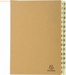 Exacompta Pultordner A4 31 F&auml;cher 1-31 braun