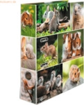 HERMA Motiv-Ordner A4 70mm Nagetiere