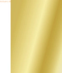100 x Heyda Tonpapier 130g/qm A4 gold gl&auml;nzend