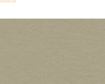 Ludwig B&auml;hr Tonpapier 130g/qm A4 VE=100 Blatt taupe
