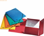 12 x Esselte Eckspanner Rainbox A4 390g/qm f&uuml;r 200 Blatt farbig sortie