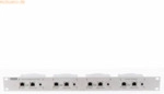 wantec wantec 2wIP 19- Rack 4x RJ45 Port Switchsite / Hubsite