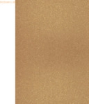 10 x Heyda Glitterkarton A4 360g/qm champagner