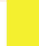 10 x Heyda Plakatkarton 380g/qm 48x68cm leucht-gelb