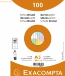Exacompta Karteikarte 10858E A5 liniert sortiert 100 St&uuml;ck